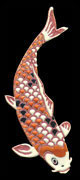 K062 classic Nishikikoi red right